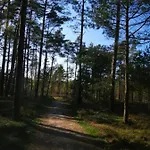Na Lesnej