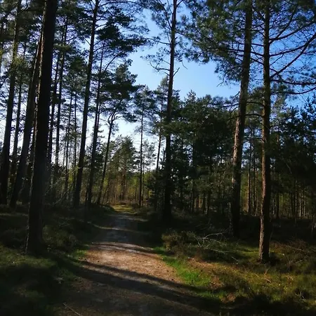Na Lesnej