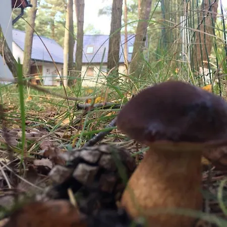 Na Lesnej בית נופש *