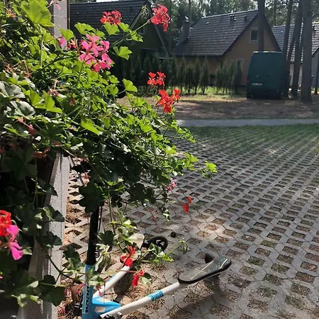 Na Lesnej בית נופש *